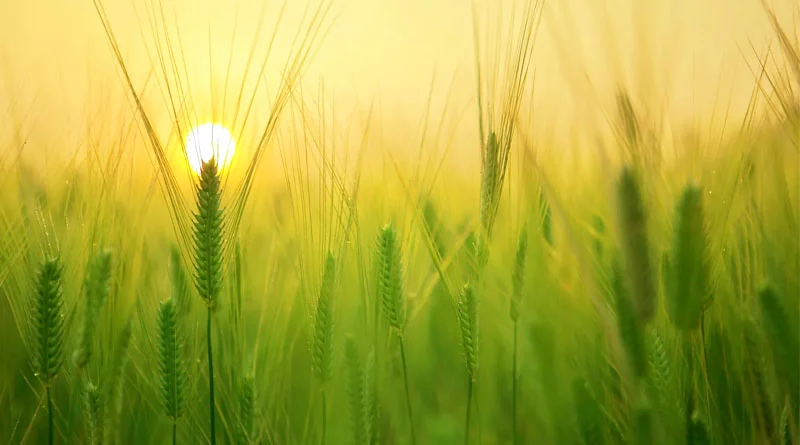 CoBank announces $50,000 contribution to the Cooperative Family Fund