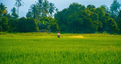 Government announces application dates for Sustainable Farming Incentive 2023