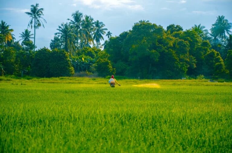 Government announces application dates for Sustainable Farming Incentive 2023