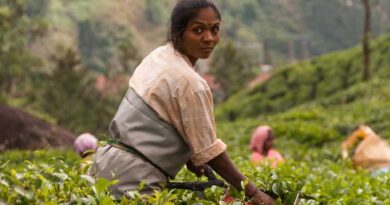 Vagaries of monsoon and its impact on agriculture