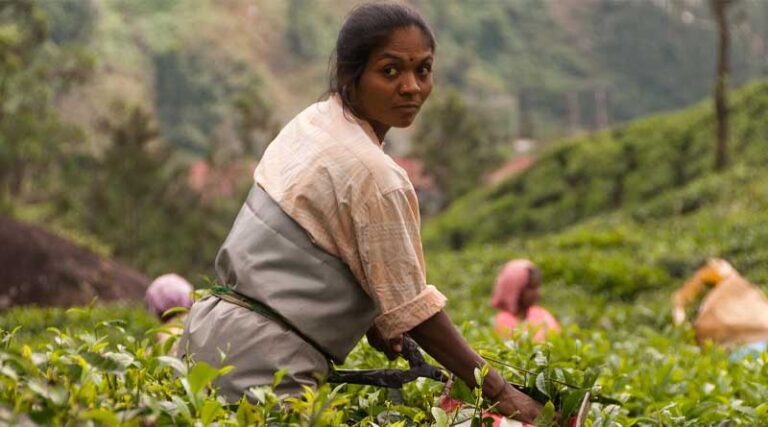 Vagaries of monsoon and its impact on agriculture