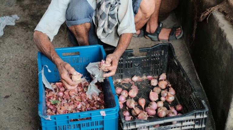The Impending Impact of India's Onion Export Ban on Farmers and their Income
