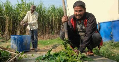 It’s Time to Turn Back the Clock, & Adopt Natural Farming to Save Our Soil!
