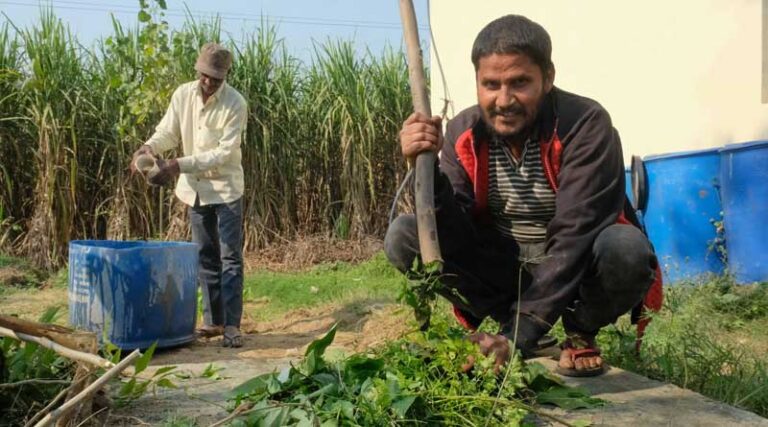It’s Time to Turn Back the Clock, & Adopt Natural Farming to Save Our Soil!