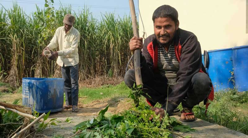 It’s Time to Turn Back the Clock, & Adopt Natural Farming to Save Our Soil!