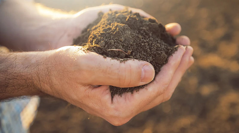 Top Soil Science Journal Publishes Peer Reviewed Paper on Indigo Ag’s Carbon Quantification Model
