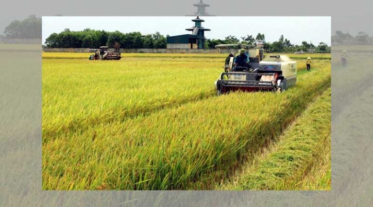 Agro – forestry and fishery exports decreased