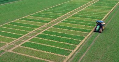 65 years-long research concludes: Mineral fertilizer supports sustainable agriculture