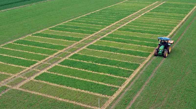 65 years-long research concludes: Mineral fertilizer supports sustainable agriculture