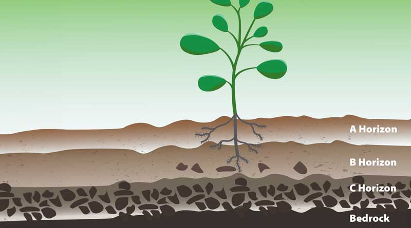Soil characteristics that benefit from using close drip emitter spacing