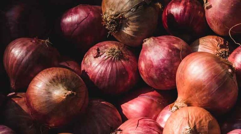 Speculating on the Next Commodity: After Rice and Onion, What Could the Indian Government Ban Next?