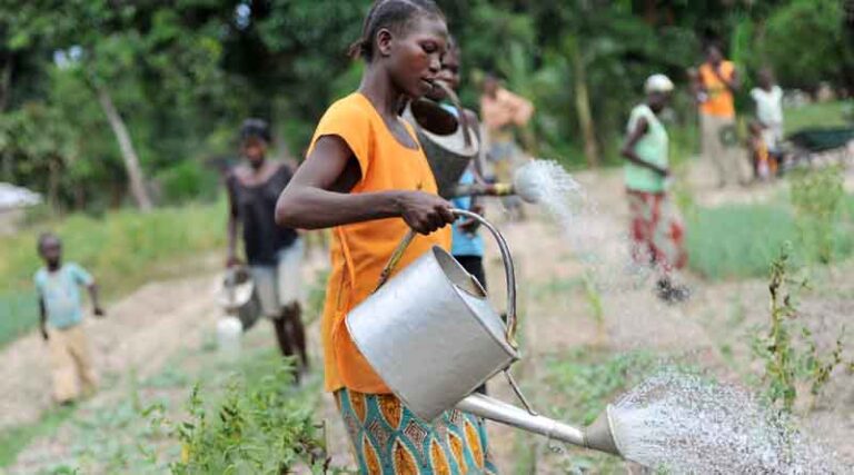 World Water Congress: Agriculture holds solutions to global water crisis and food security, FAO says