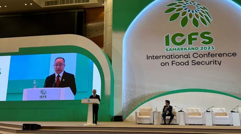 Vice Minister Wu Hongyao Attends International Conference on Food Security
