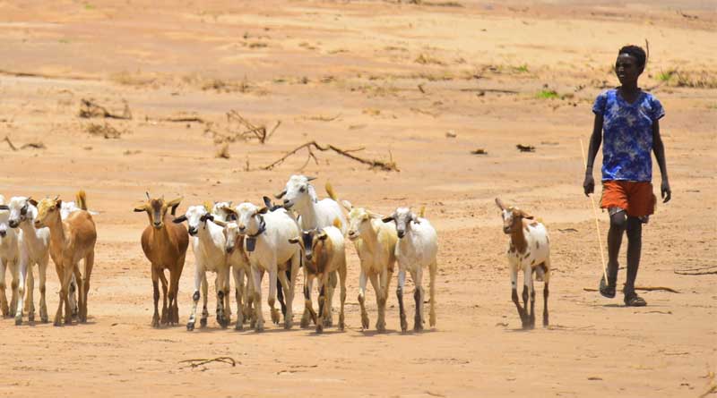 Multiple shocks keep pushing world further away from development targets