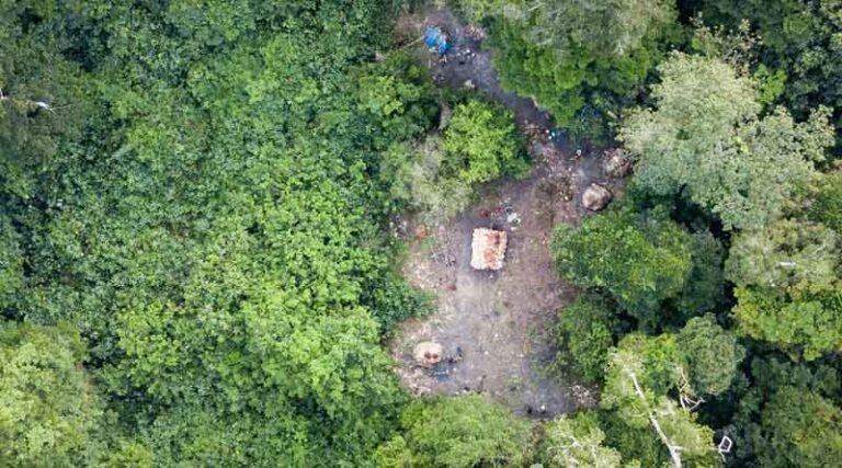 SDG Summit: FAO announces the launch of a CPF Call to Action for Forests towards 2030