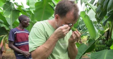 CABI-led Plantwise training improves plant doctors’ diagnostic skills by at least 10%, new study shows