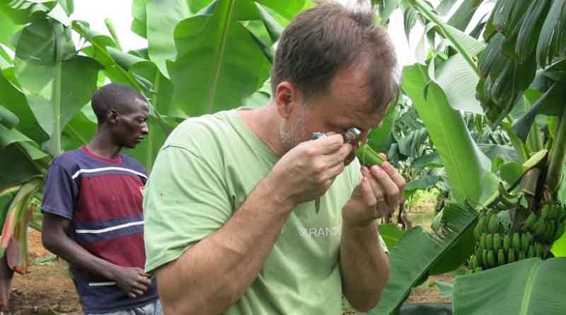 CABI-led Plantwise training improves plant doctors’ diagnostic skills by at least 10%, new study shows