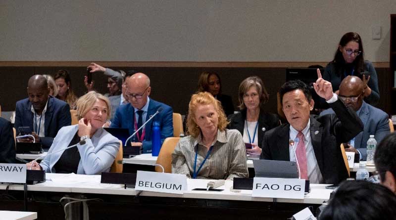UNGA: FAO and the G7, UN Food Systems Summit+2 and COP28 Presidencies join hands to position agrifood systems transformation high on the international agenda