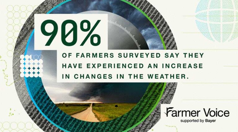 Farmers hopeful but unrecognised in the fight against climate change