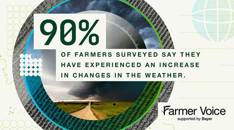 Farmers hopeful but unrecognised in the fight against climate change