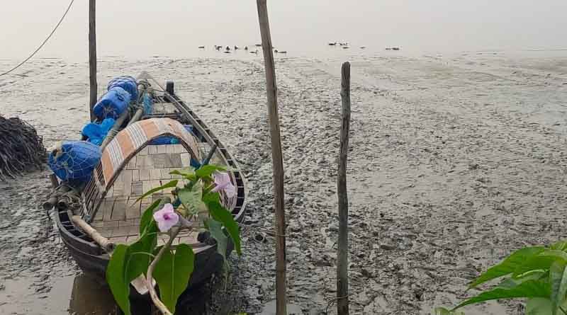 India: Climate crisis putting people in ecologically fragile Sundarbans on the edge of poverty