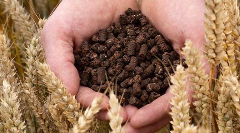 Transforming cocoa husks into low-carbon fertilizer in new pilot from Nestlé and partners