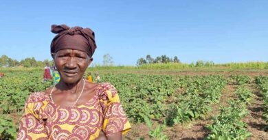 Almost a quarter of the population in the Democratic Republic of the Congo continue to face acute food insecurity as humanitarian needs grow to record levels