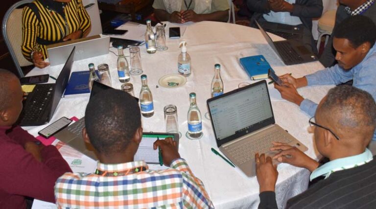 Seed Equal Initiative empowering Africa legume seed producers on market demand-driven seed production business models and ICT tools