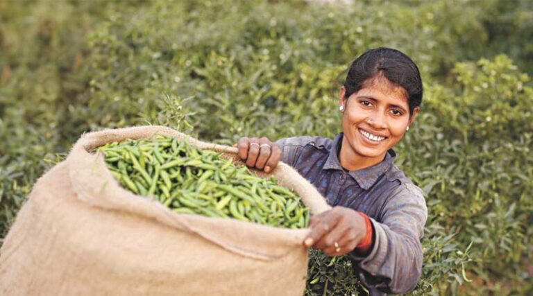 More than 70% of farmers have already seen large impacts of climate change on their farm, new global research across 8 countries reveals