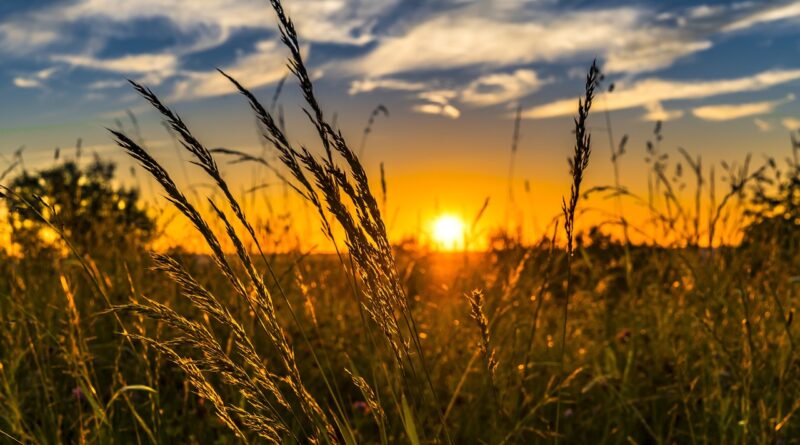 EU continues phasing out use of chemicals that harm the ozone layer