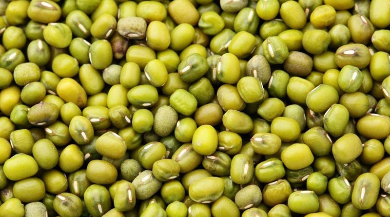 Mungbean Variety