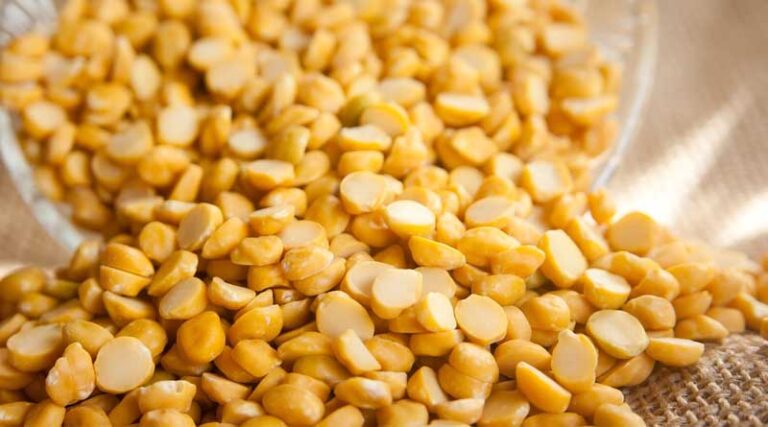 Lentil
