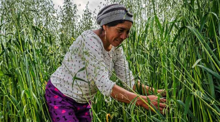 Why Big Agrochemical Firms Are Leaning Towards Regenerative Agriculture