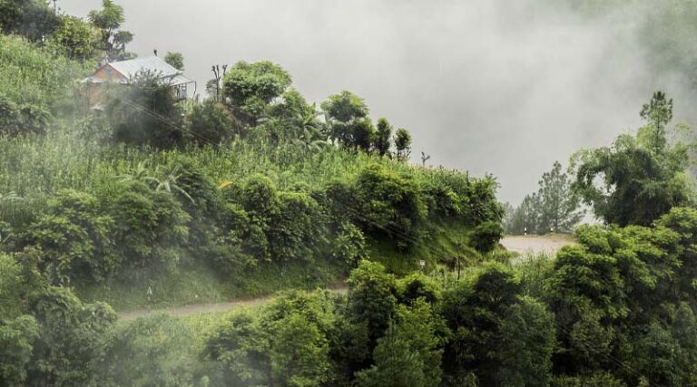 Green Climate Fund confirms FAO’s role in supporting countries’ access to climate action resources