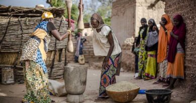 Hand in Hand Investment Forum: Spotlight on Sahel and Dry Corridor regional initiatives