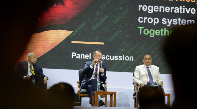 The challenges and opportunities of bringing direct-seeded rice to Asian and African farmers