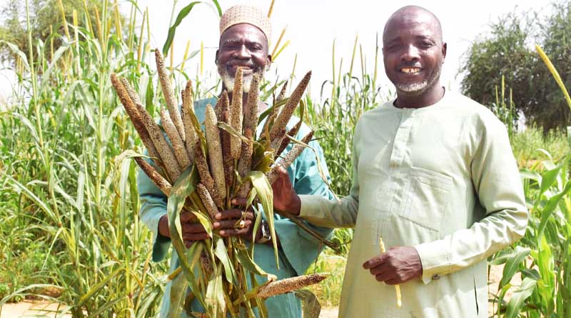 ICRISAT Boosts Food Security in Niger and Chad During Ukraine-Russian Conflict