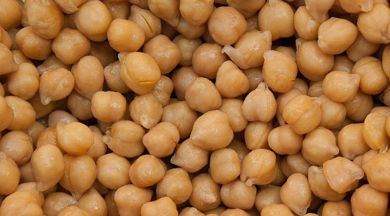 Chickpea Variety