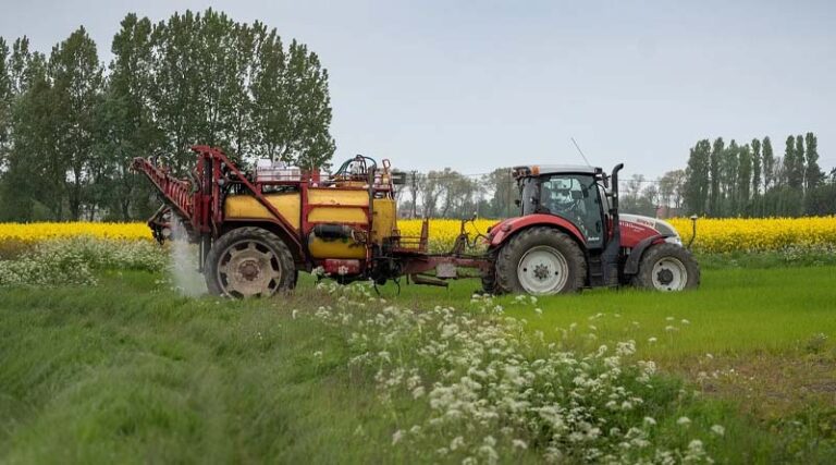 British Farmers and growers to be given continued access to crucial plant protection products