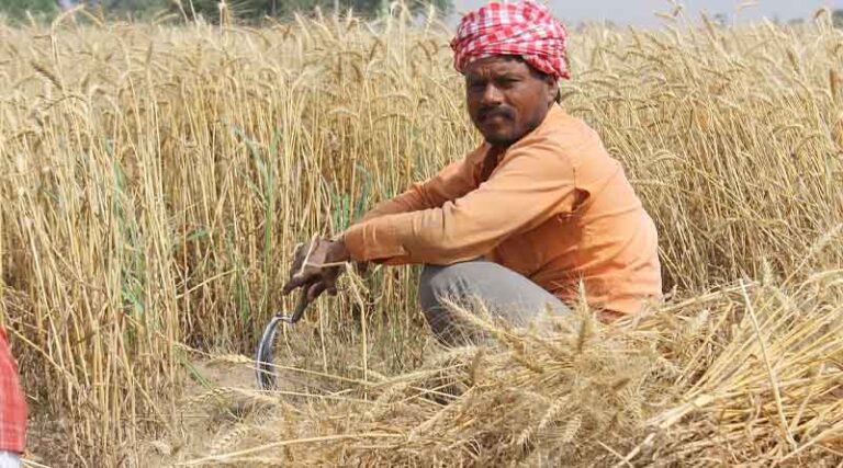 Cabinet reduces Nutrient Based Subsidy (NBS) rates for RABI Season