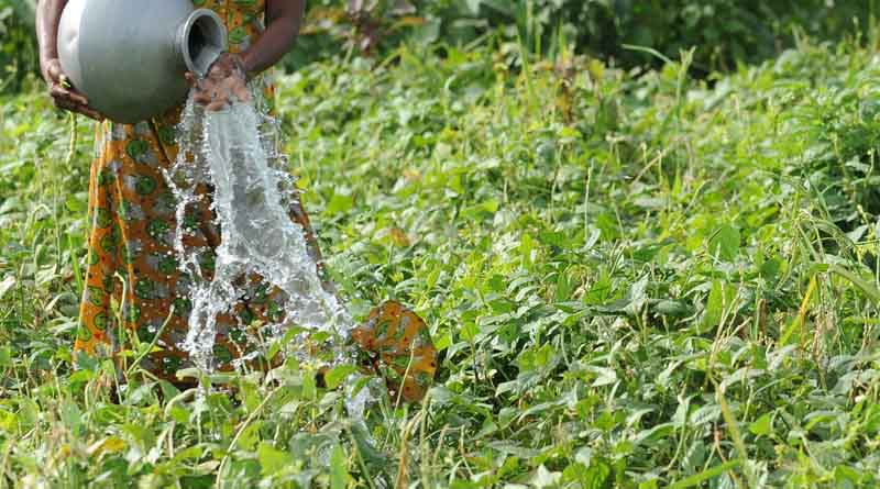 Rome Water Dialogue 2023 seeks solutions and synergies and brings practical contributions