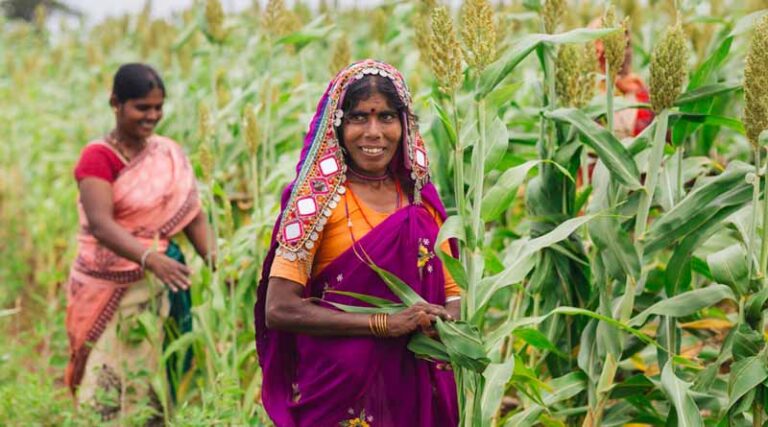 Farm to fork: An overview of millet supply chains in India