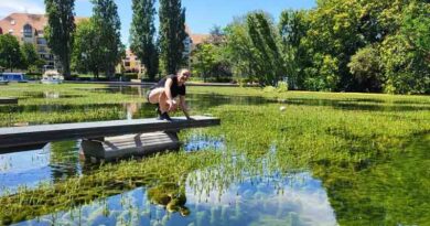 CABI’s work on the biological control of invasive weeds making great progress