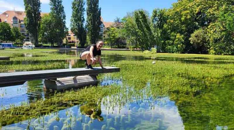 CABI’s work on the biological control of invasive weeds making great progress