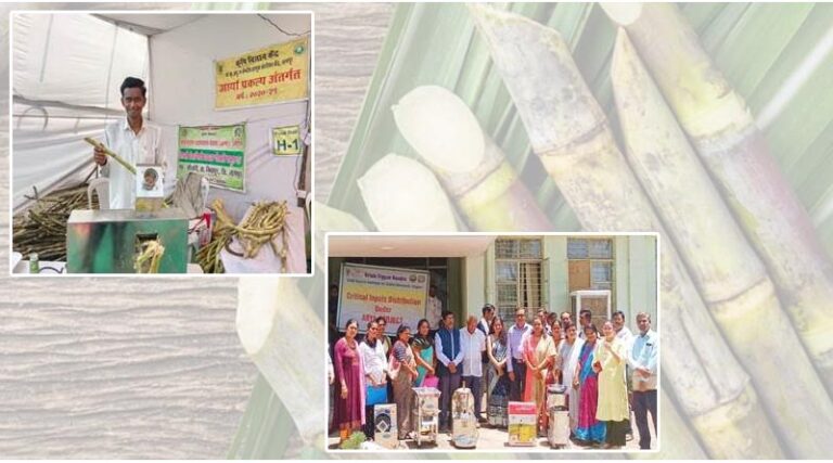 Sarveshwar's Sugarcane is juicing more profits