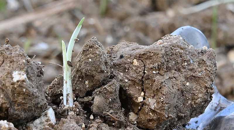 DEFY flexibility fits adapting autumn strategies