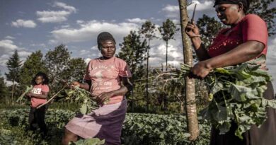 Immediate action is needed to get Africa on track with global goals