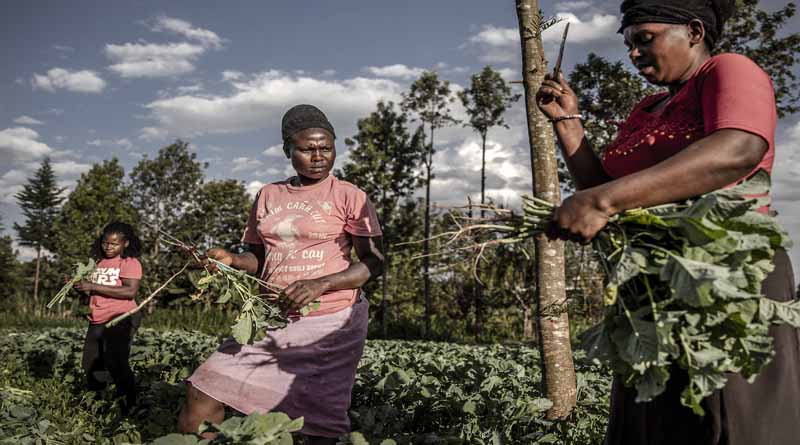Immediate action is needed to get Africa on track with global goals