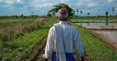 Indian Government released 31 new varieties of 14 crops for Uttar Pradesh Farmers