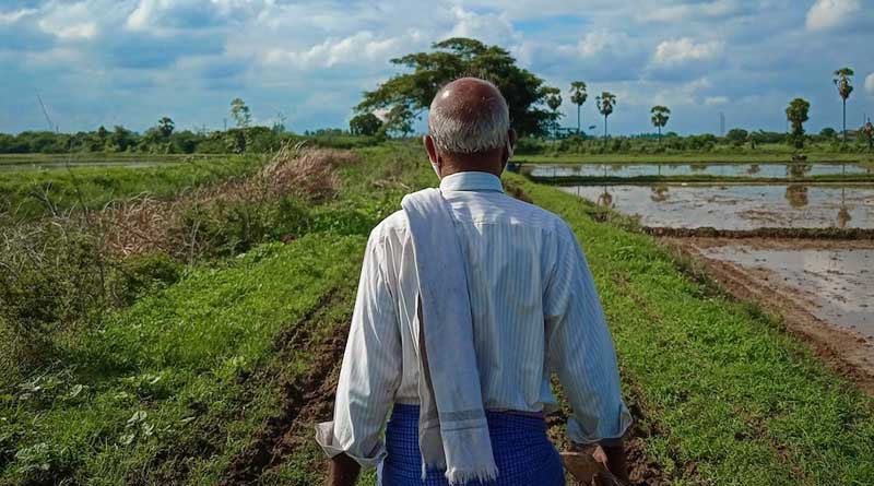 Indian Government released 31 new varieties of 14 crops for Uttar Pradesh Farmers
